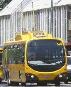 wellington bus 1