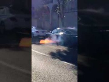 Burning Tesla Michael Morris LA