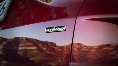 Ford PHEV Go Electric