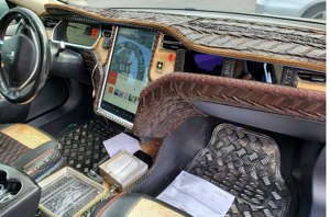 Tesla croc 1