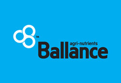 ballance_logo