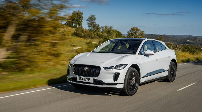jaguaripaceJPG