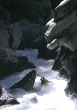 Westpower hydro project (declined)