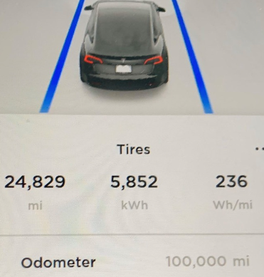 Tesla owner 1000 miles
