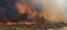 Australian bush fires