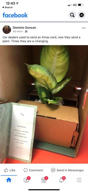 EV dealer sends Christmas plant (1)