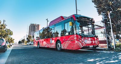Auckland e-bus
