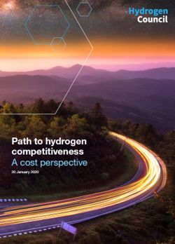 Hydrogen Council report