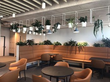Mercury meeting room