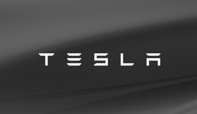 Tesla logo agm