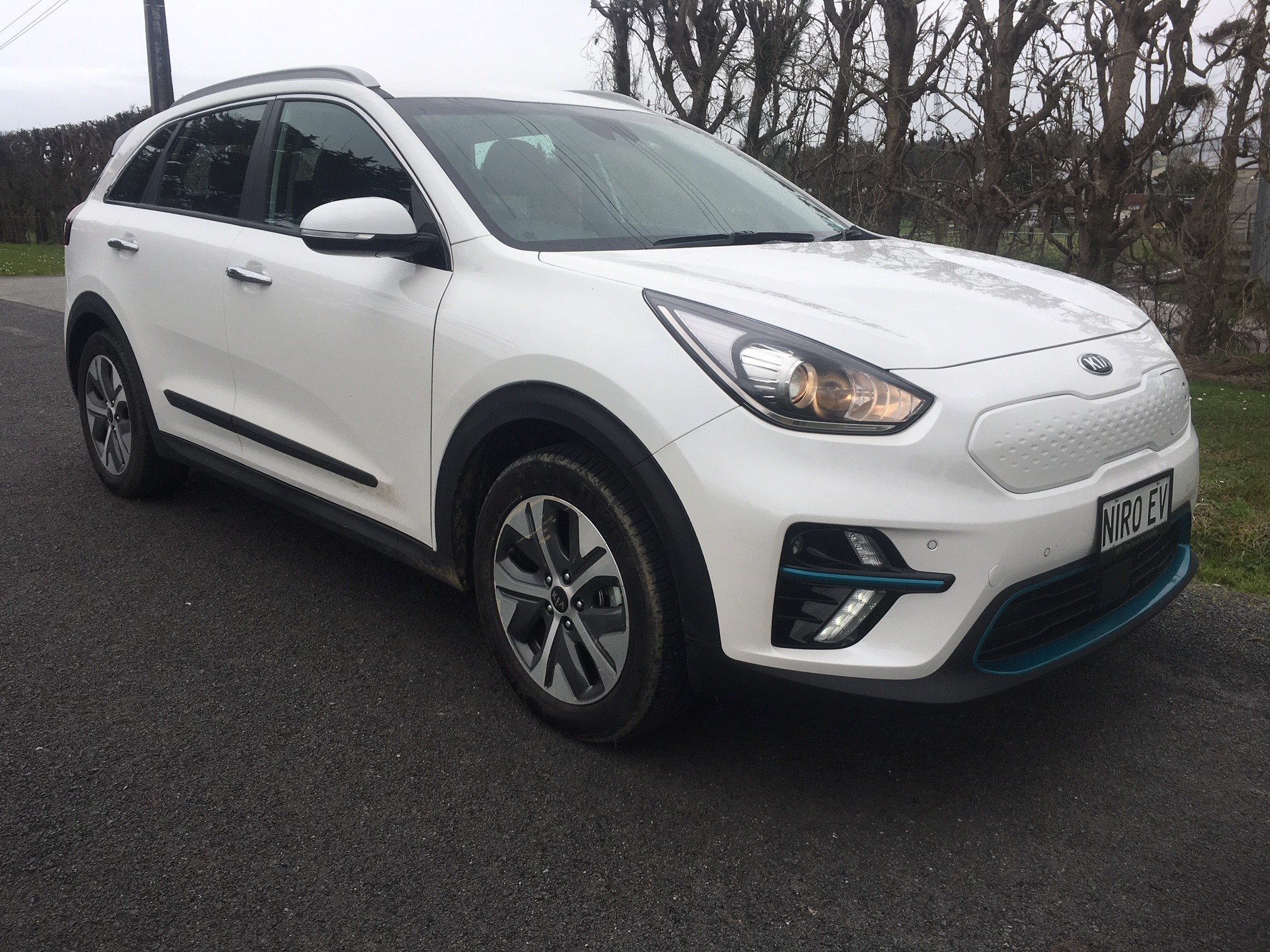 Kia Niro EV EX 455 roadside 1