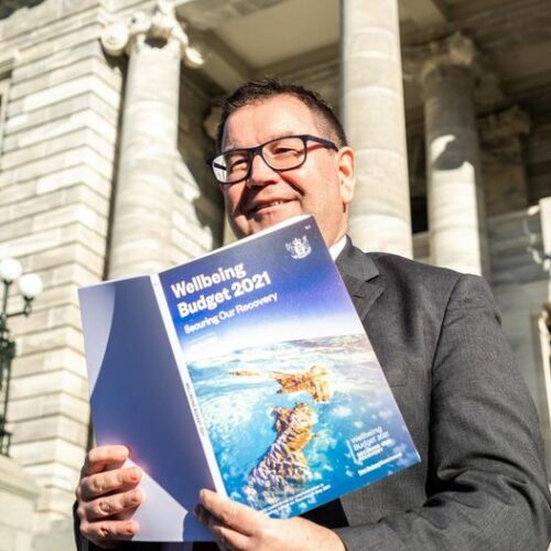 Budget-2021-Grant-Robertson