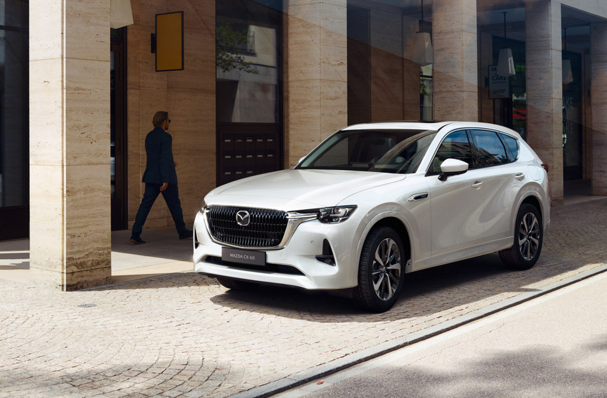 cx604