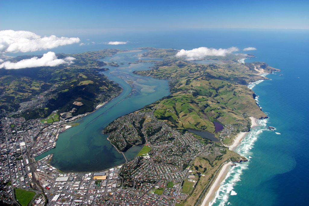 dunedin-2