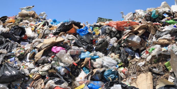Kaipara-District-Council-waste-to-energy-plant