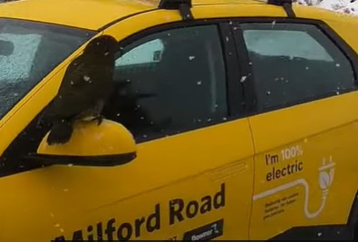 EV-Milford-Road-Alliance-NZTA-Kea-