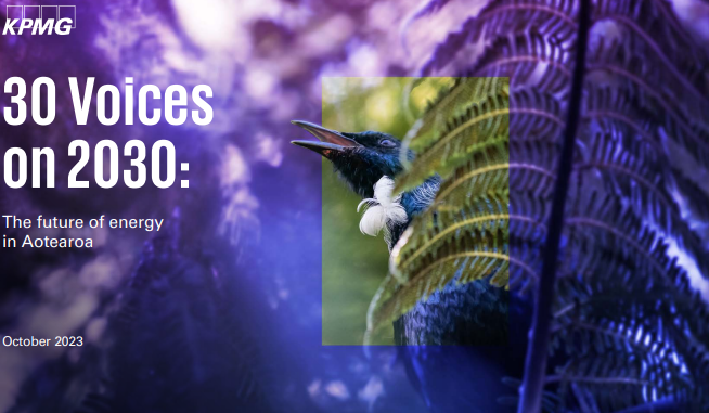 Energy-future-KPMG-report