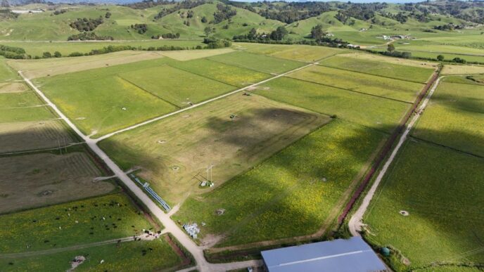 Lodestone Energy starts next utility-scale solar site | EVs and Beyond