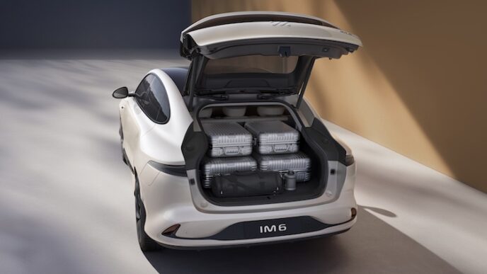IM6 Trunk with luggage
