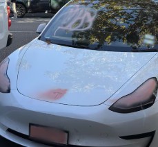 white Tesla with pink paint covering headlights, number plate Ponsonby