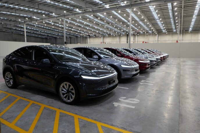 Tesla-Y-under-lights