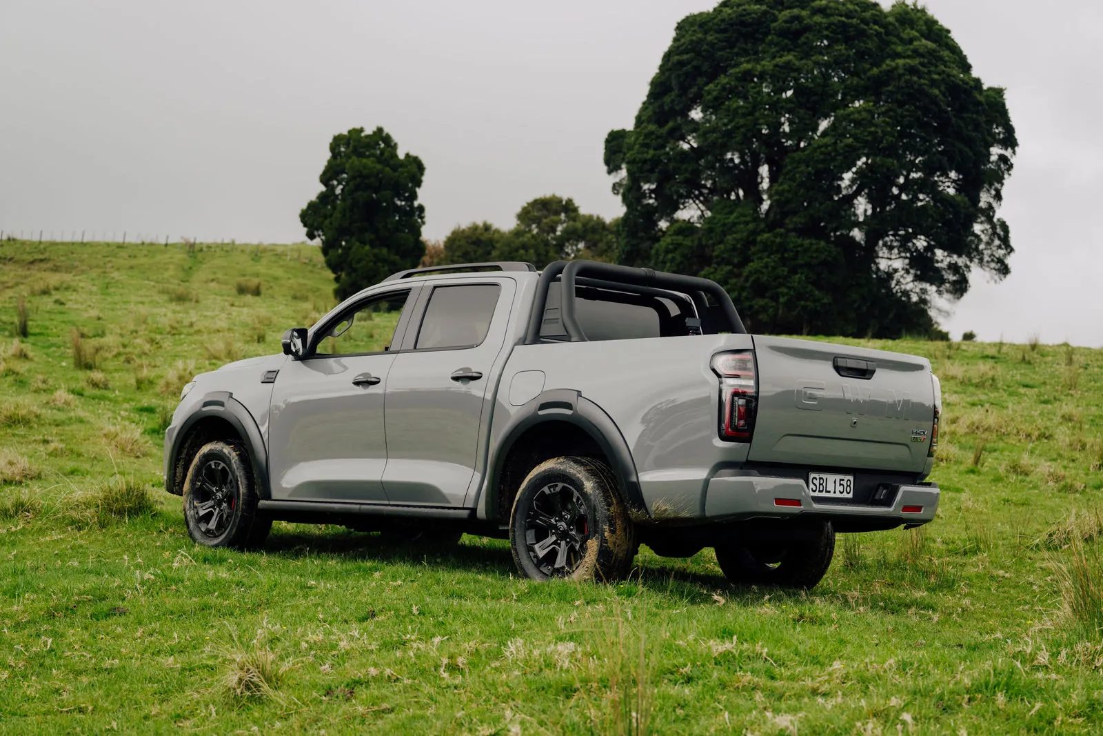 Grey GWM Cannon Hi4-T PHEV ute from the rear quarter on farmland