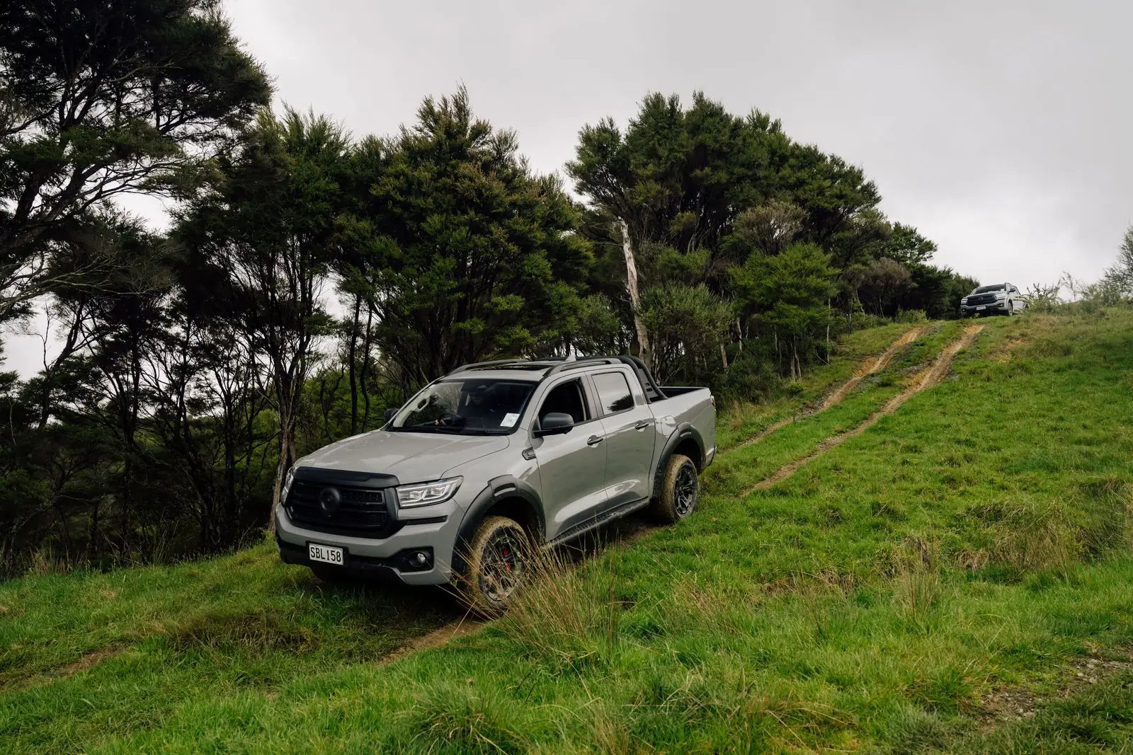 GWM Cannon Hi4-T PHEV driving a bush-lined farm track