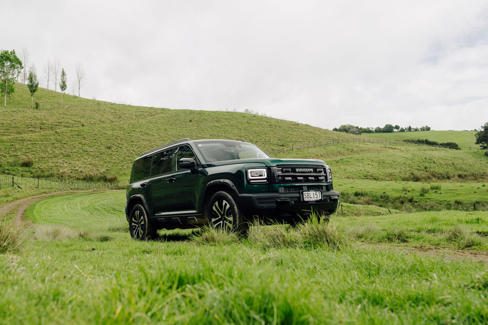 Green Haval H7 in a hillside paddock