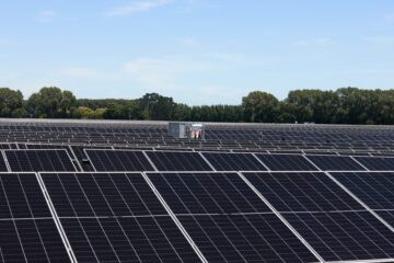 Rows of solar panels at the 30MWp Taiohi solar farm in northern Waikato
