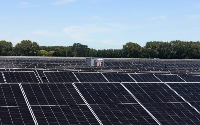 Rows of solar panels at the 30MWp Taiohi solar farm in northern Waikato