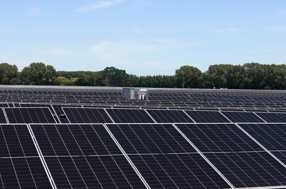 Rows of solar panels at the 30MWp Taiohi solar farm in northern Waikato